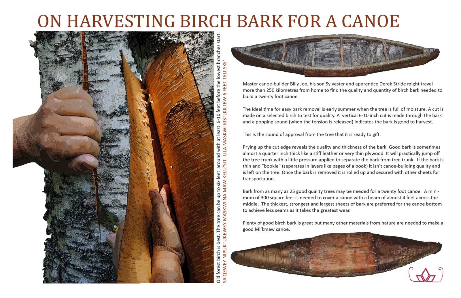 On Harvesting Birch Bark for a Canoe