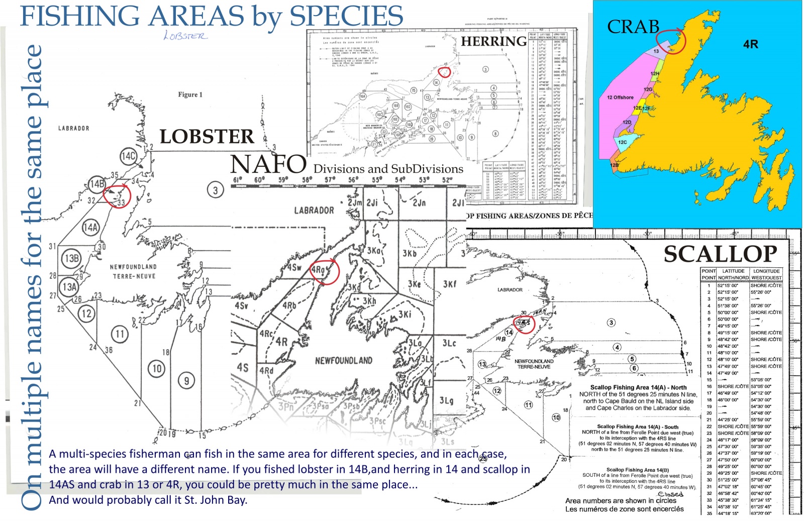 Fishing Areas by Species