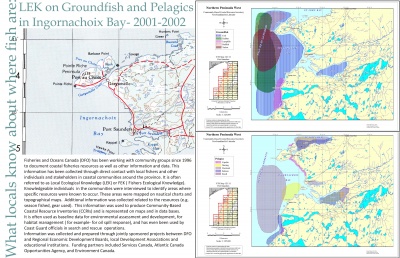 LEK on Groundfish and Pelagics in Ingornachoix Bay- 2001-2002