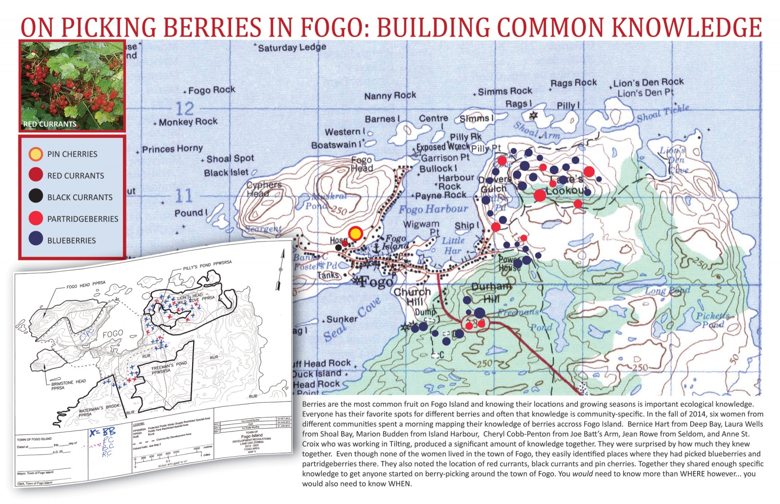On Picking Berries in Fogo: Building Common Knowledge
