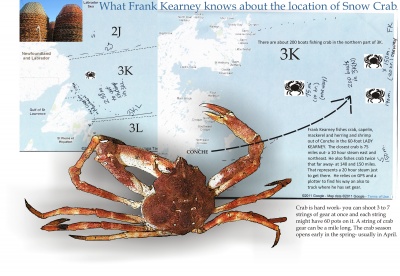 What Frank Kearney knows about the location of Snow Crab
