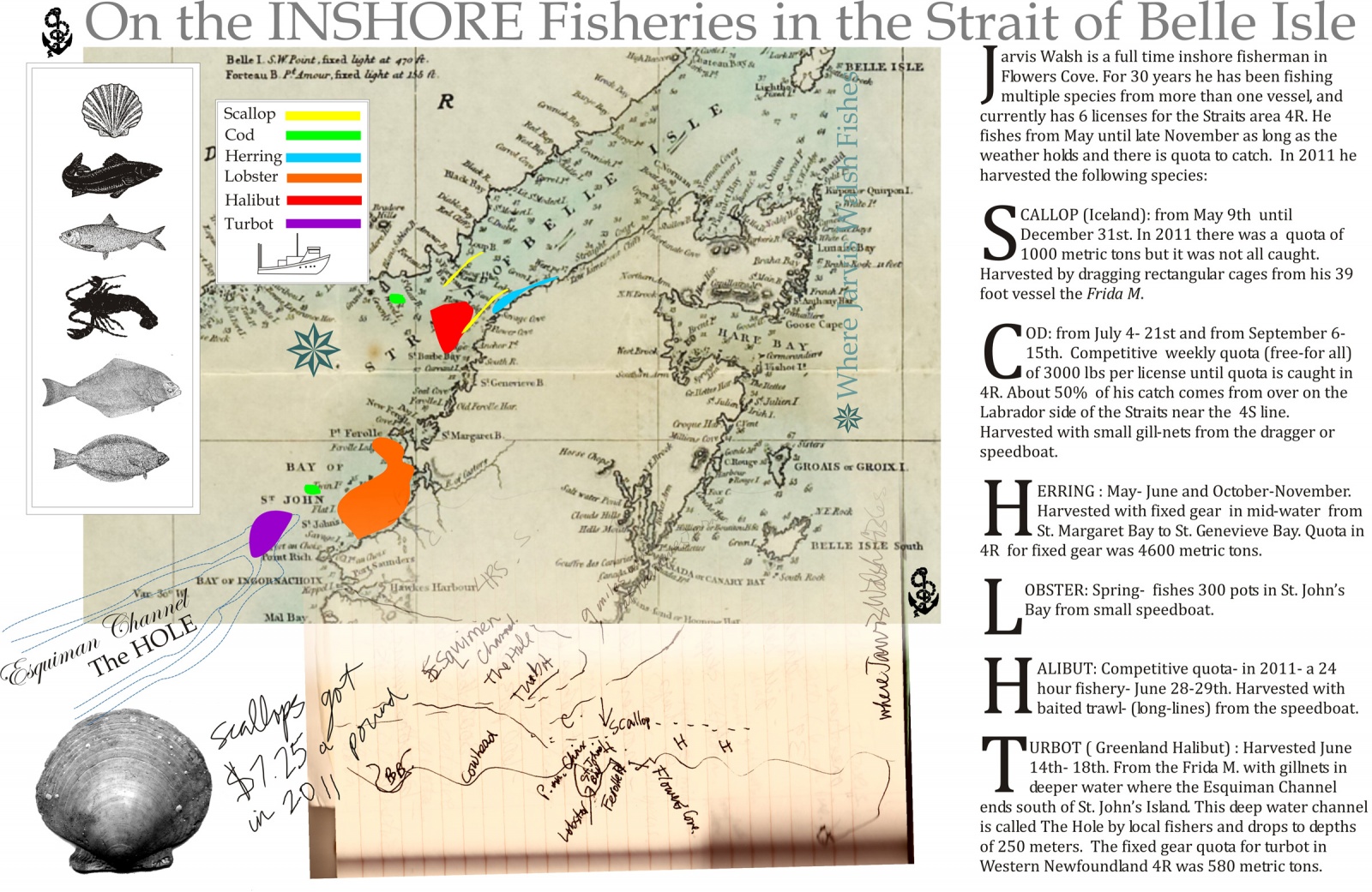 On the Inshore Fisheries in the Strait of Belle Isle