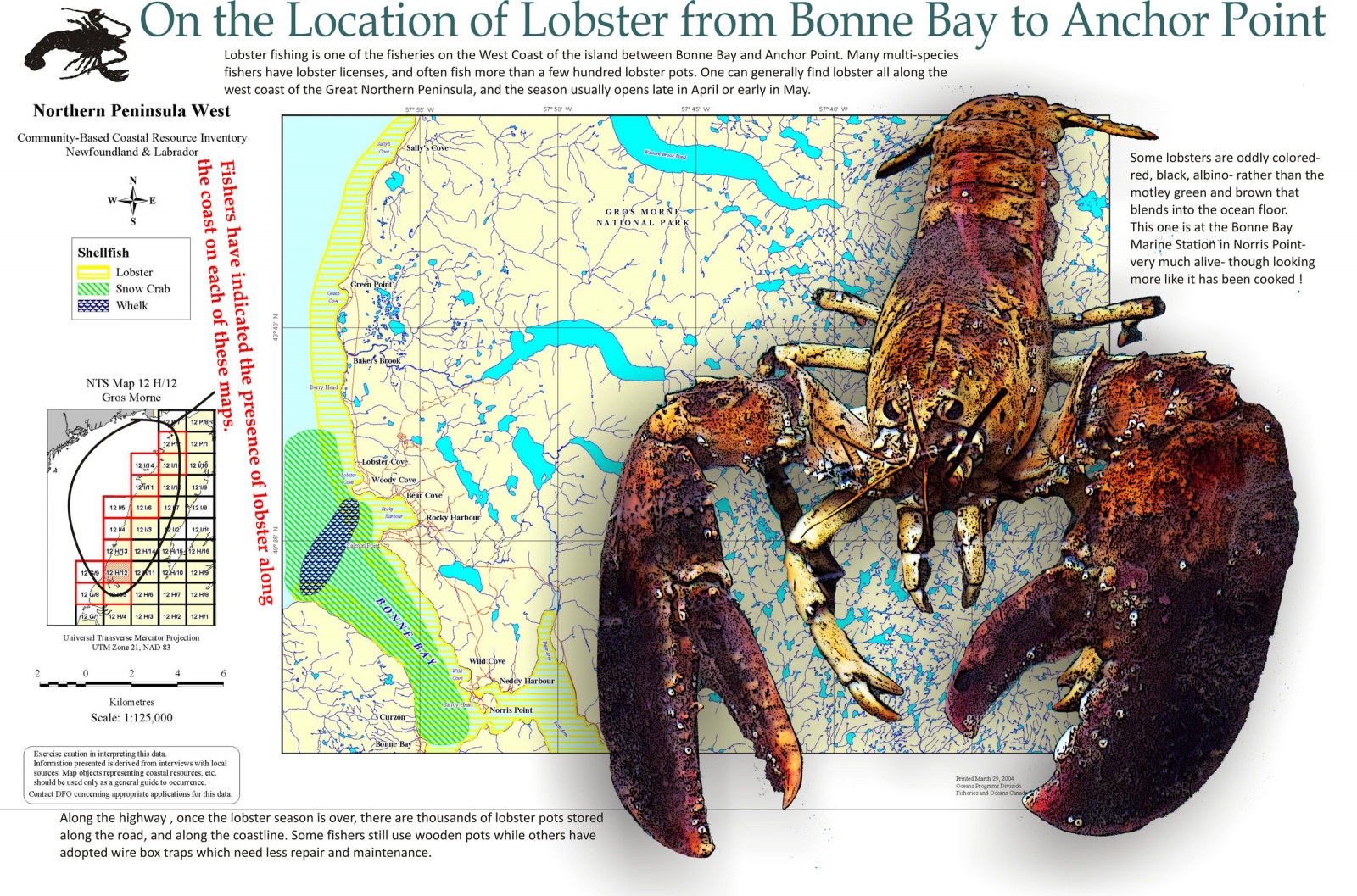 On the Location of Lobster from Bonne Bay to Anchor Point