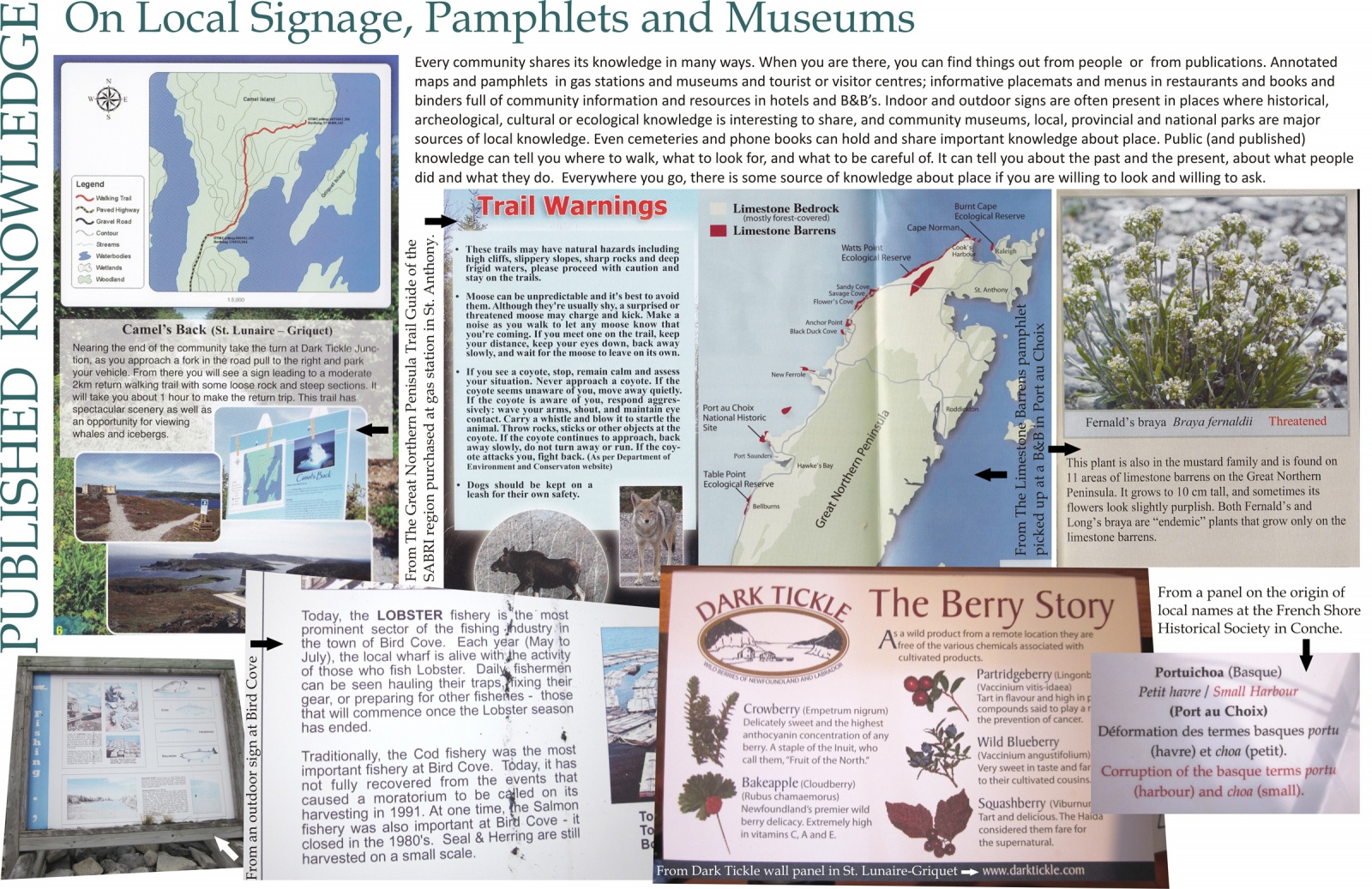 Published Knowledge: On Local Signage, Pamphlets and Museums