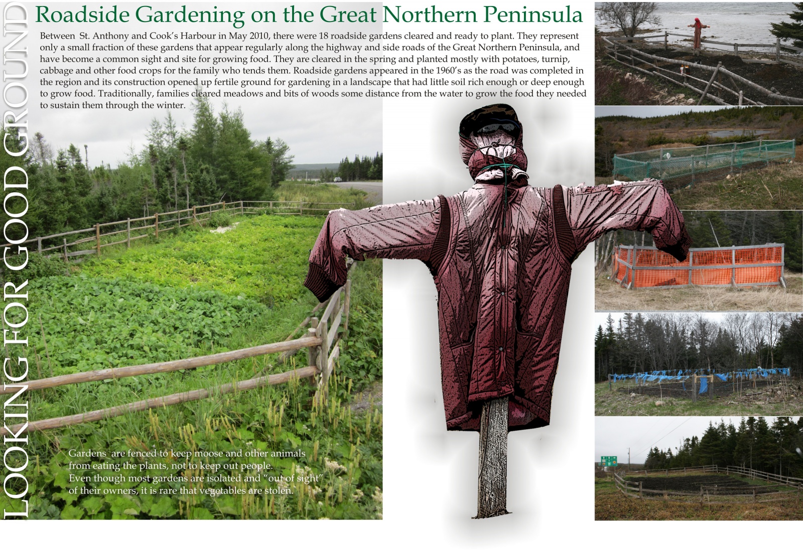 Looking for Good Ground: Roadside Gardening on the Great Northern Peninsula