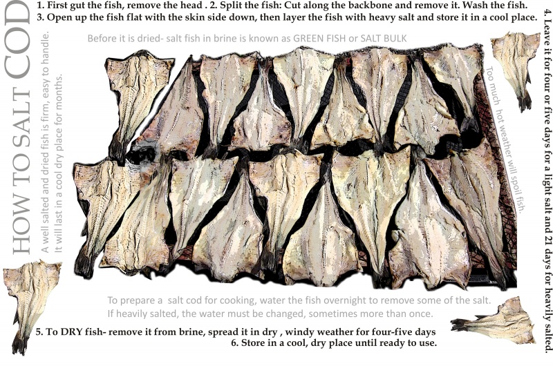 How To Salt Cod › Towards an Encyclopedia of Local Knowledge