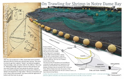 Understanding Fishing: On Trawling for Shrimp in Notre Dame Bay