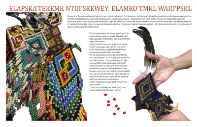 Elapska'tekemk Ntui'skewey: Elamko'tmkl Waio'pskl