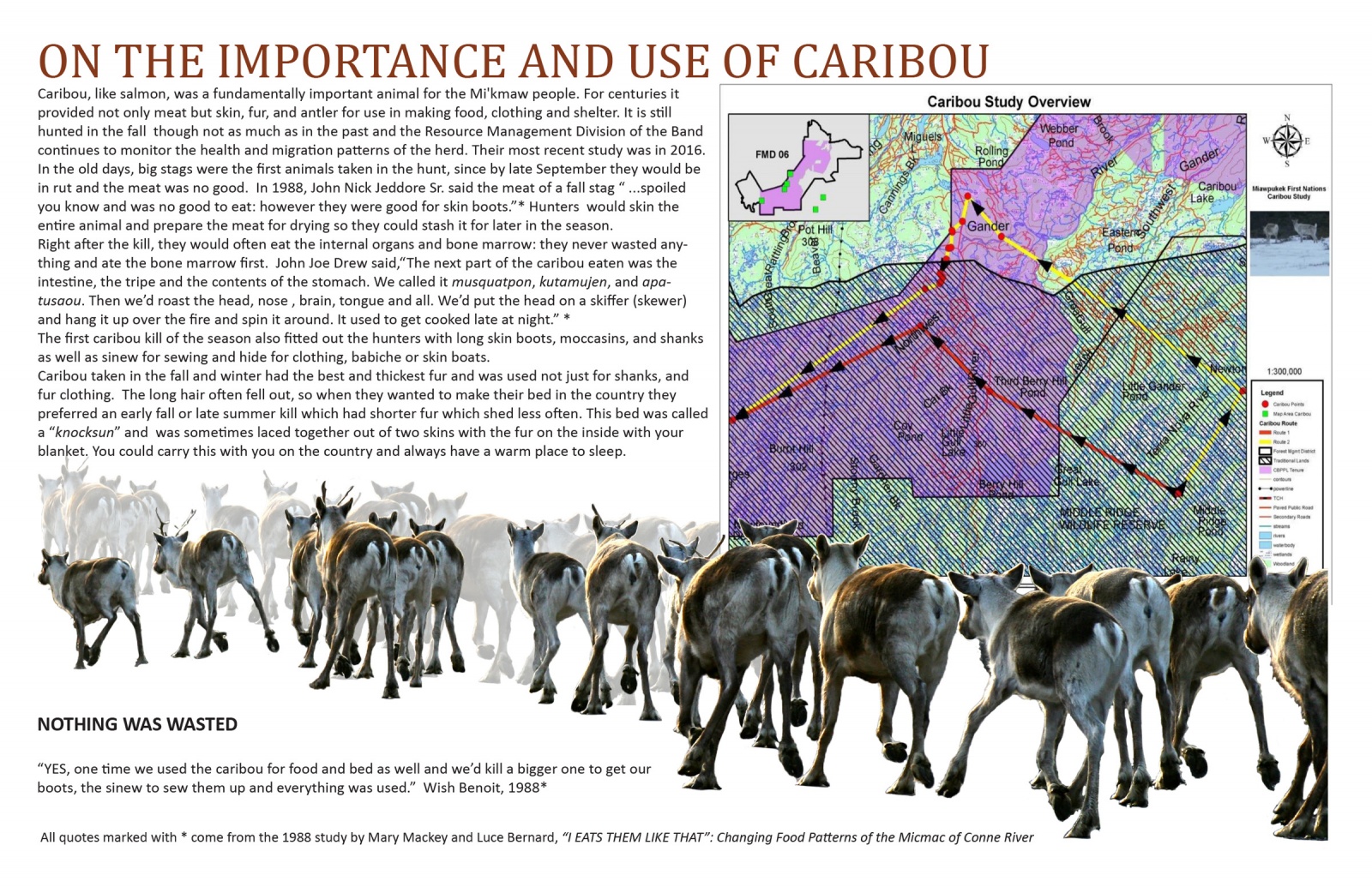 On the Importance and Use of Caribou