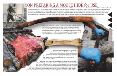 On Preparing a Moose Hide for Use