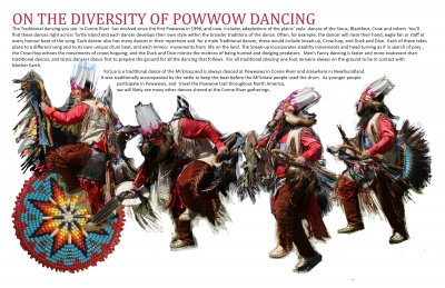 On the Diversity of Powwow Dancing