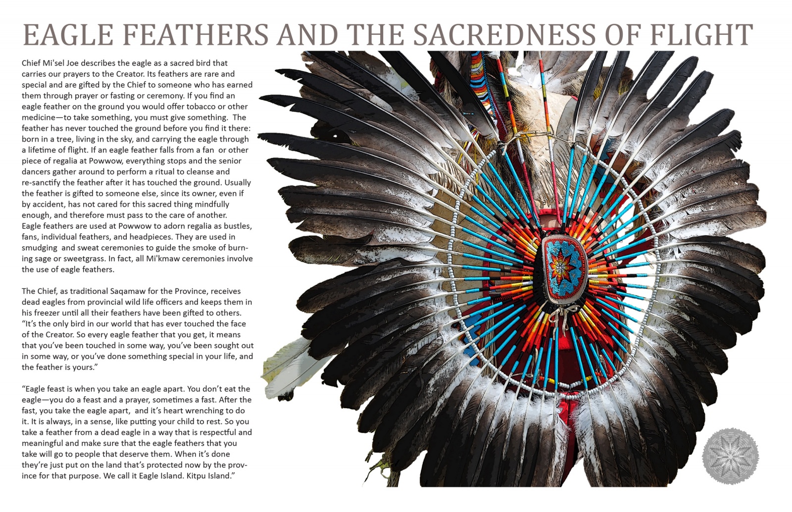 Eagle Feathers and the Sacredness of Flight