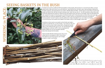 Working in Place: Seeing Baskets in the Bush