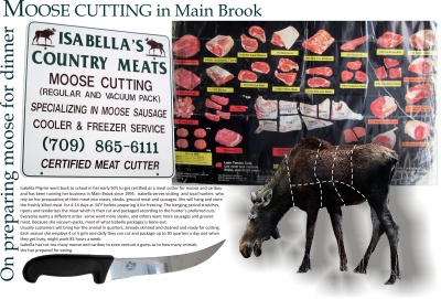 On preparing moose for dinner: Moose Cutting in Main Brook