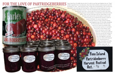 For the Love of Partridgeberries