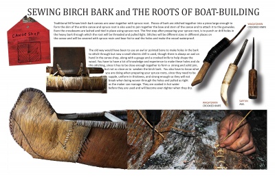 Sewing Birch Bark and the Roots of Boat-building