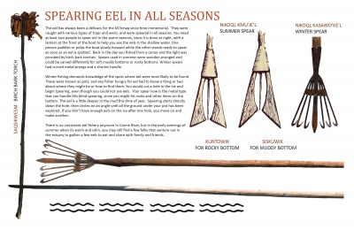 Spearing Eel in All Seasons