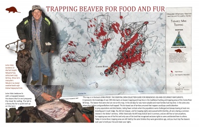 Trapping Beaver for Food and Fur